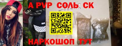 индика Можга
