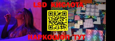 индика Можга
