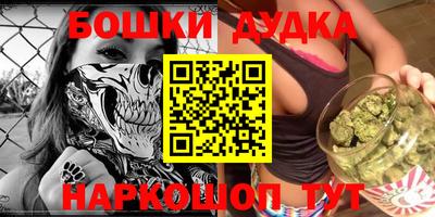 индика Можга