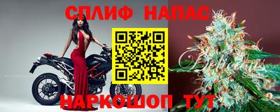 индика Можга